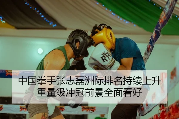 中国拳手张志磊洲际排名持续上升 重量级冲冠前景全面看好